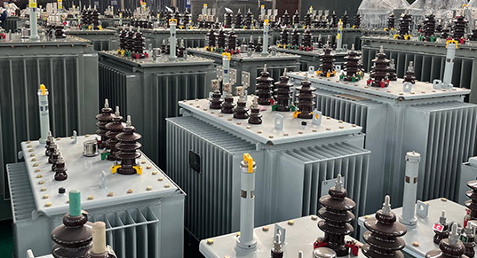 oil-immersed transformers